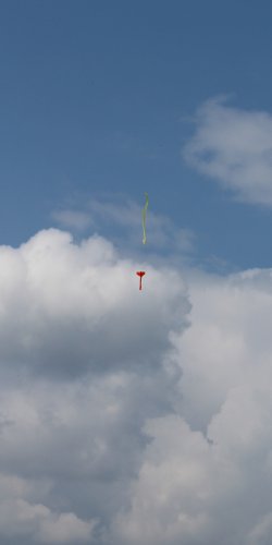 img_8660 raketka na 10 ns tym toma kocourka - navrat